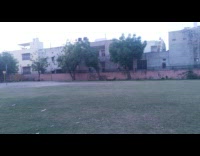 Crow flies into empty park to pick up a dead rat