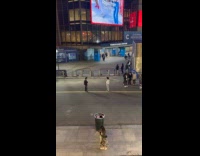 Man black jacket poses middle of street