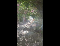 Girl bikini cardigan lean in plant tunnel