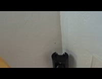 Spider spins on the corner of wall