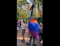 Crowd gathers around Kevin bird from Up