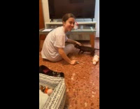 Collab BitchMP - Dog hits head on table