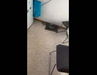 Cat on table approached and petted by filmer