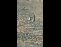 Woman flip tumble surfboard beach sand cheer