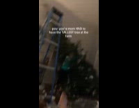 Woman catching falling Christmas tree 