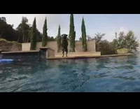 Two dogs jump in pool after ball 