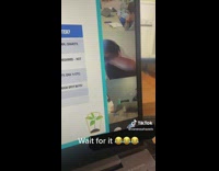 Energetic dog jumps on owner during zoom call