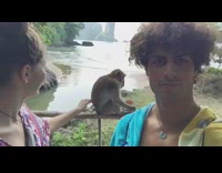 Guy takes selfie with girlfriend and monkey, woman pets monkey with orange can and gets attacked