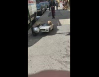 Dog in toy car crashes into helmet 