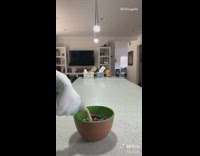 Guy kicks almond milk lid off 