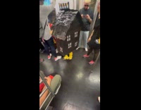 Random person wears house costume on subway