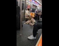 Large dog beside owner inside subway train