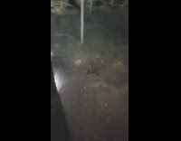Basement drainage suck flood water whirlpool vortex