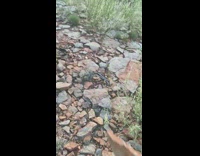 Guy throw flat rock that landed upright