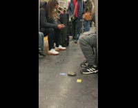 Person on subway playing uno with turtle