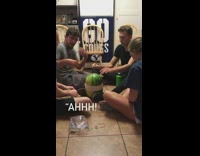 Watermelon explodes after people put rubberbands on it
