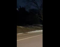 Coyote jump over fence cross the road
