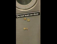 Pickle slices stuck into subway train door