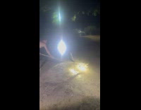 Men pulls back crocodile to the river