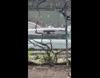 Man and woman fight accident on road