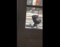 Guy photographs shoes in middle of street 