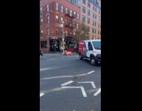 Garbage men slides can through the road