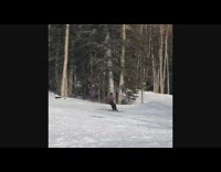 Skier jumps and spins backwards off ramp, lands hard on his face