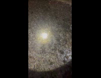 Walk on frozen mulch crunchy sound ASMR