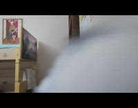 Blue bird pecks camera phone bedroom room