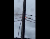 Power line sparks and burns after storm Part 1