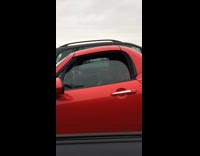 Guy sees brown dog in red car