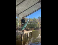 Dog jumps on paddleboard rides with owner