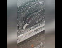 Man puts dildo on neighbor skeleton statue as revenge on halloween