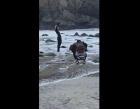 Woman black outfit sexy pose beach waves