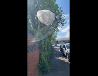 Guy finds white plastic bag katy perry