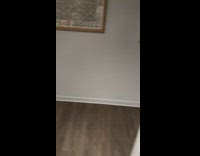 Black dog guilty hiding under bed 