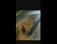 Woman slips on snow falls on face 