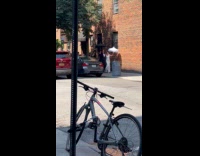 Couple does wedding parade with the guests