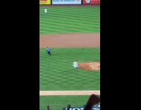 Two men ran and interrupted baseball game