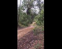 Black helmet guy rides red dirt bike 