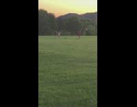 Two girls tiktok dance pink dress park