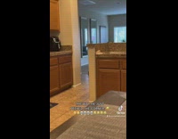 Small dog peeks at camera from behind counter