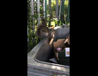 Squirrel on trash bin eat pizza bread