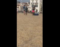 Two couple hold hand pose ice box