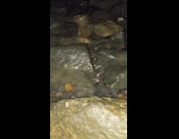 Tide Water Ebbs and Flows on Rocky Shore