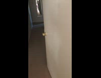 Two dogs on bed screaming in room 