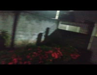 Wild bat goes in and out to eat banana at the garden