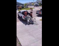 Collab VIBES - Woman fails to put bike on truck