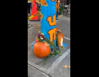 People throws flowers makes koi pond memorial