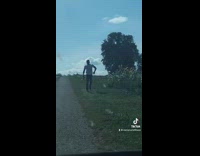 Lady waits in car husband picks sunflower 